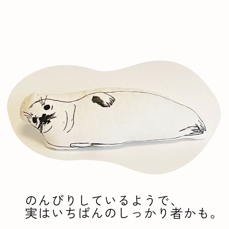アザラシ