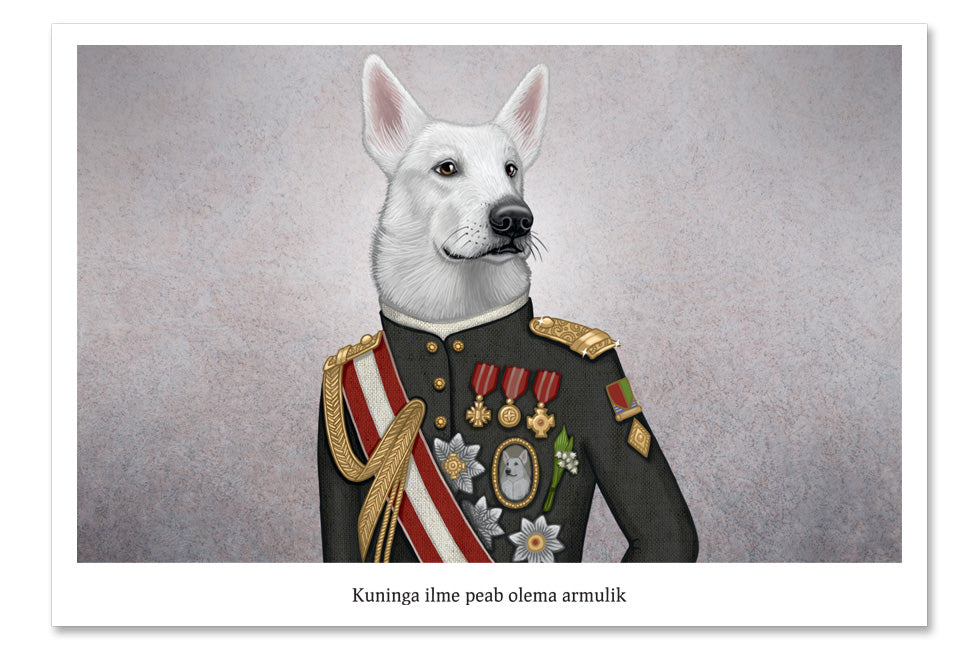 LUCKY LAIKA ポストカード "A king's face should show grace" (White Swiss Shepherd Dog)
